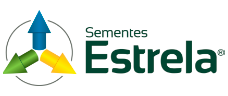 sementes-estrela